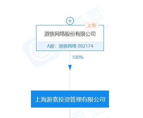 游族關(guān)聯(lián)公司全資入股桑喆網(wǎng)絡(luò) 計(jì)算機(jī)系統(tǒng)集成服務(wù)迎來(lái)新布局